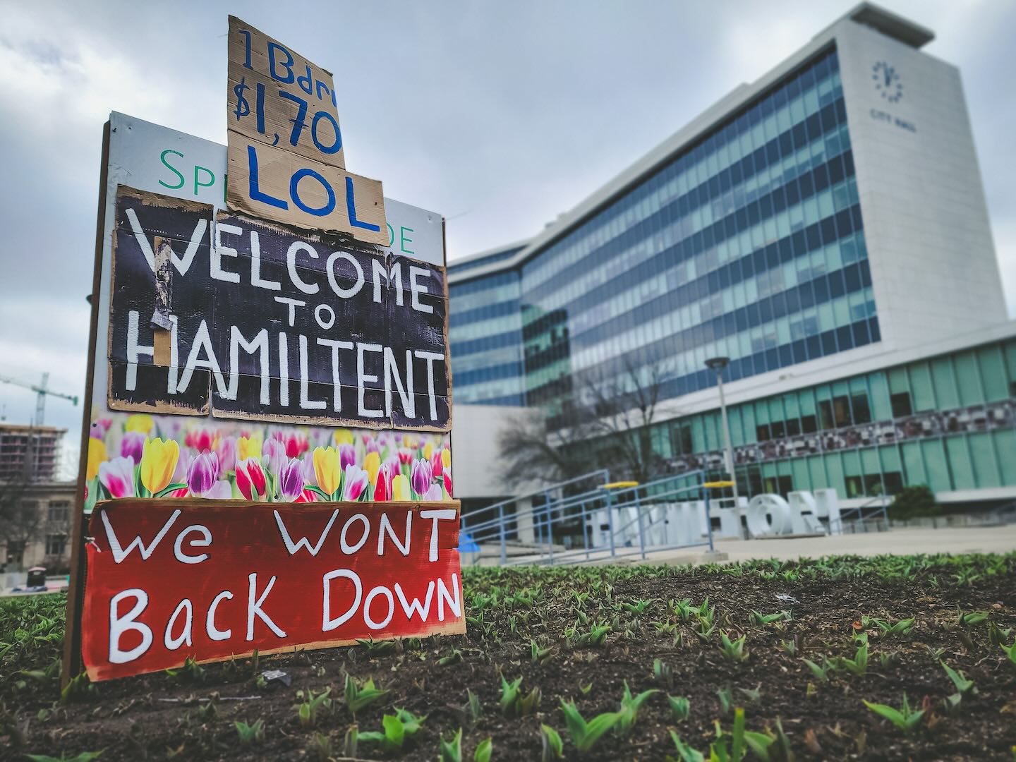 We must target the ‘ready, fire, aim’ approach - Hamilton City Magazine