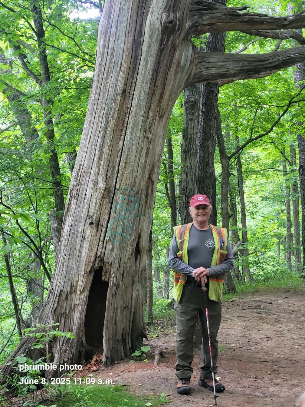 BRUCE TRAIL: A walk in the wilderness - Hamilton City Magazine