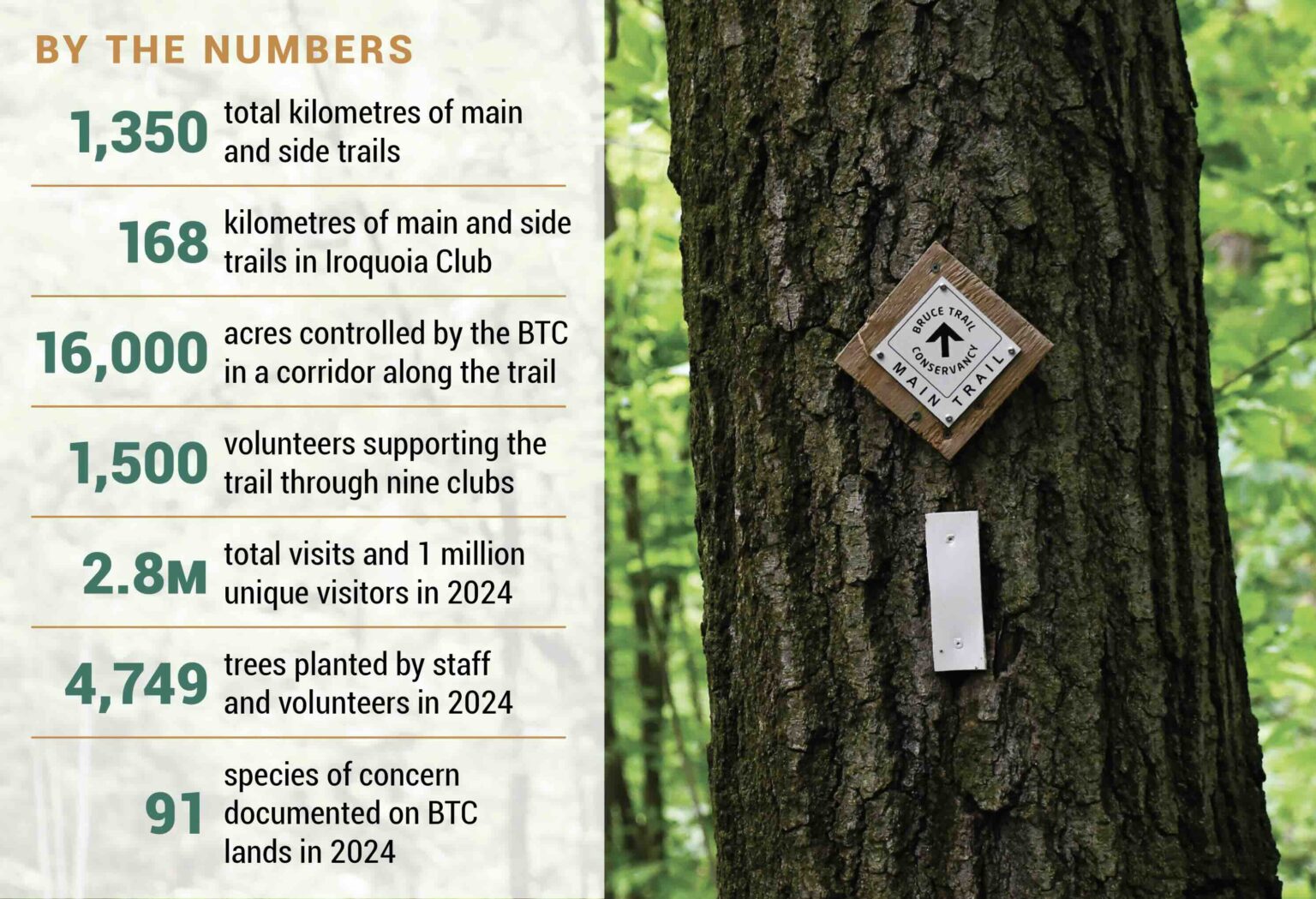 By The Numbers: How Long Is The Bruce Trail And How Do You Tackle It?